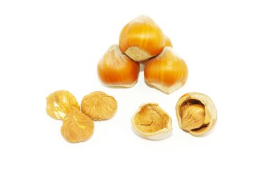 fındık