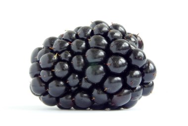 Blackberry