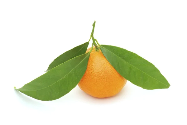 在白色背景上孤立的橘子 — 图库照片