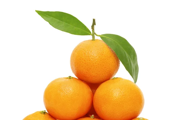 Fresh Mandarin Isolated White — Stock Photo, Image