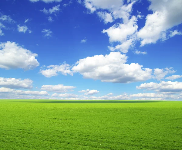Mavi gökyüzü sahada — Stok fotoğraf