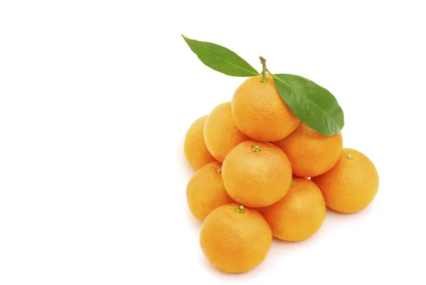 Färska Mandarin Isolerad Vit — Stockfoto
