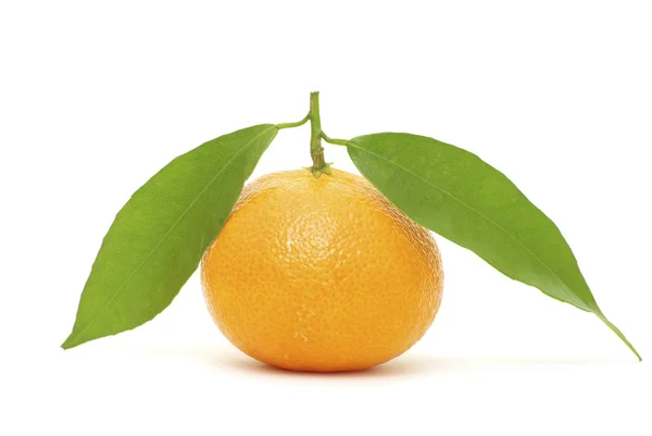 Mandarină Izolată Fundal Alb — Fotografie, imagine de stoc