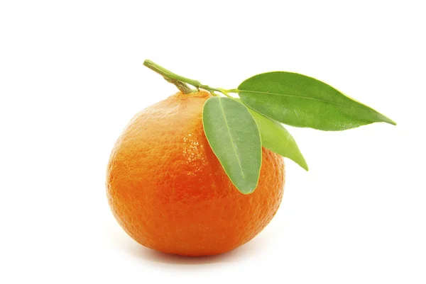 Tangerine Isolerad Vit Bakgrund — Stockfoto