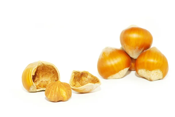 Much Hazelnuts Isolated White — Stock Photo, Image