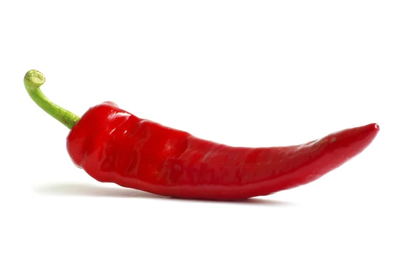 Pimenta Quente Vermelha Fresca Branco — Fotografia de Stock