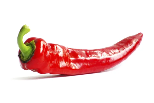 Frische Rote Paprika Auf Einem Weißen — Stockfoto