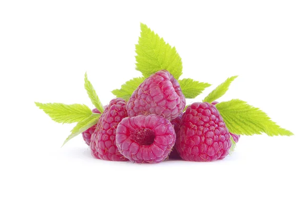 Fresh Raspberry Closeup Isolated White Background — Stock Photo, Image