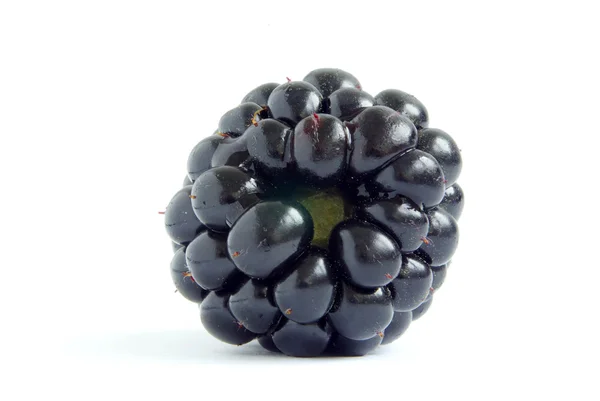 Blackberry Isolé Sur Fond Blanc — Photo
