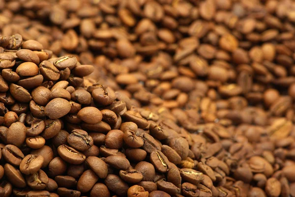 Nahaufnahme Der Aromatischen Kaffeebohnen — Stockfoto