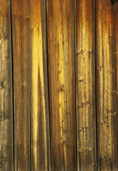 棕色木材纹理的自然形态 — 图库照片