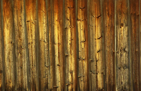 Brązowy Drewno Tekstury Naturalnych Wzorów — Zdjęcie stockowe
