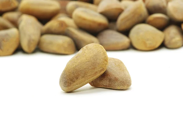 Cedar nuts — Stock Photo, Image