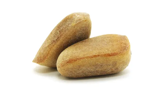 Кедровые орехи — стоковое фото