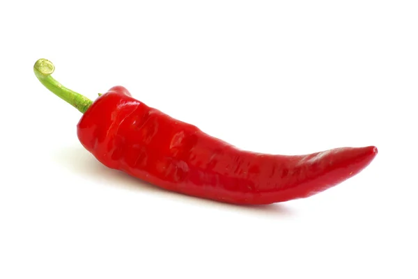 Fresh Red Hot Pepper White Stock Photo