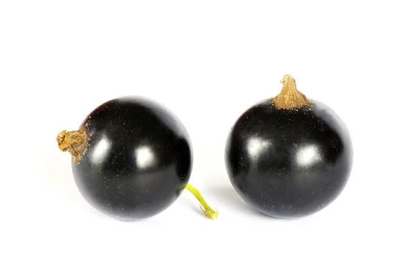 白い背景に孤立した黒スグリの果実 — ストック写真