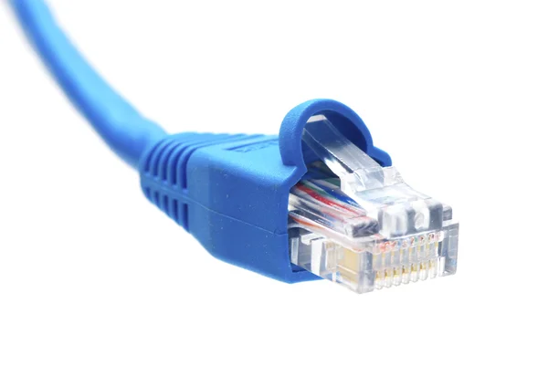 Macro Shot Network Connection Plug — Stock Photo, Image