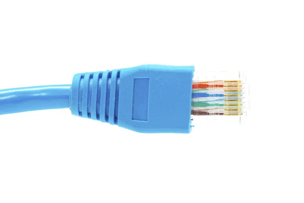 ネットワーク接続プラグのマクロショット — ストック写真