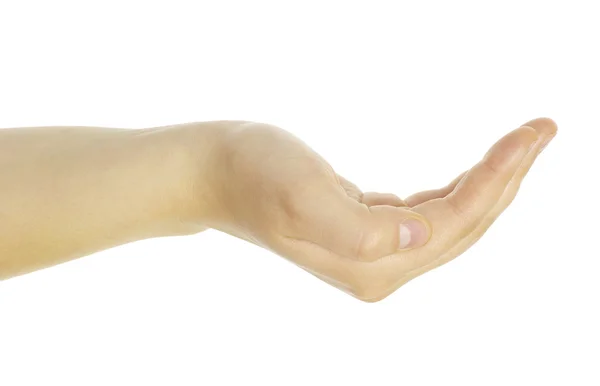 Puste Ręce Odizolowane Białym — Zdjęcie stockowe