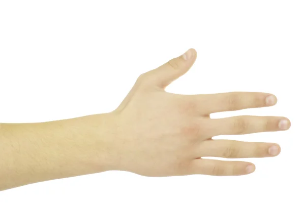 Handgesten Isoliert Auf Einem Weißen — Stockfoto