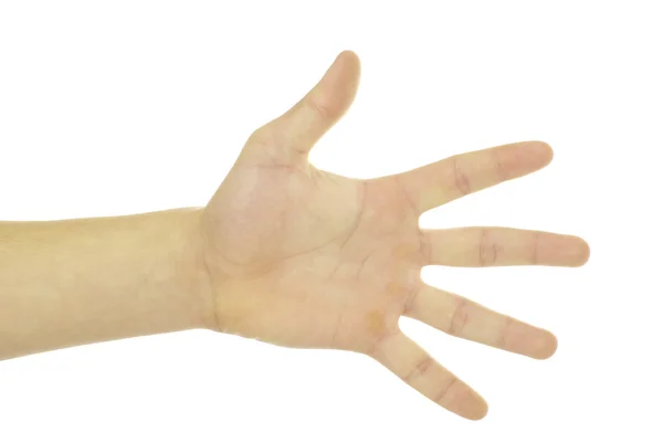 Hand on white — Stock Photo, Image