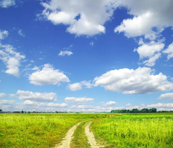 蓝天背景上的田野 — 图库照片
