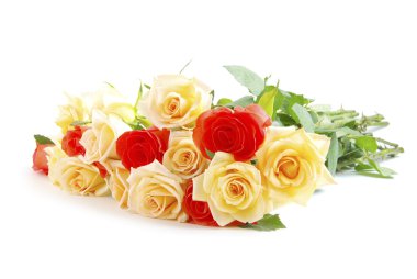 Beyaz bir arka plan üzerinde izole kırmızı gül