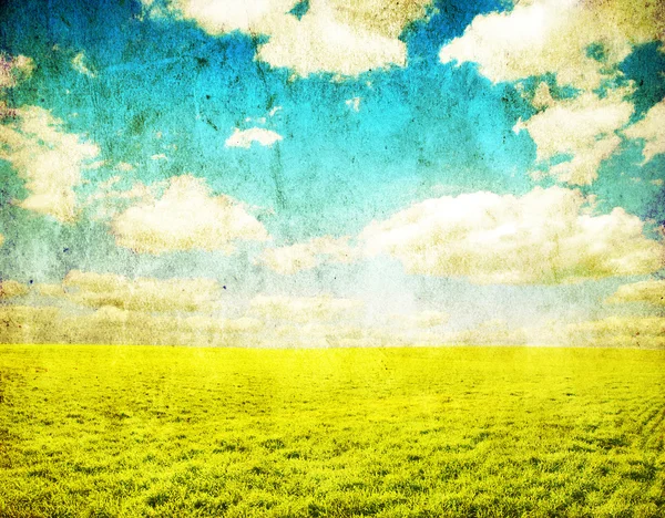 Grunge Bild Grönt Fält Och Blå Himmel — Stockfoto