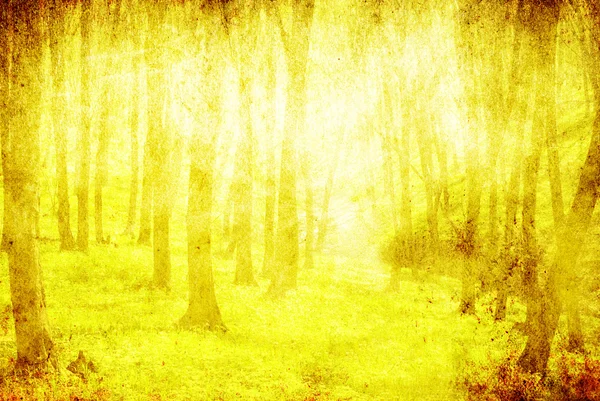 Fond Forêt Grunge Avec Espace Pour Texte Image — Photo
