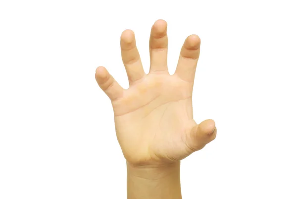 Χέρι Που Απομονώνονται Λευκό Φόντο — Φωτογραφία Αρχείου