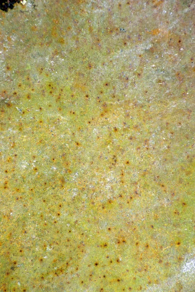 Colored Texture Rusted Plate Metal — Stock Photo, Image