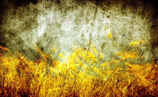 黄金の小麦圃場とグランジ背景 ロイヤリティフリーのストック写真