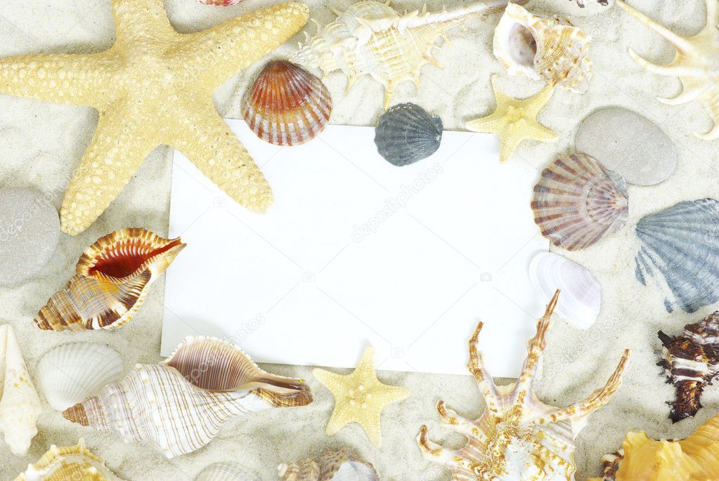 Sea stars and shells an blank postcard on sands