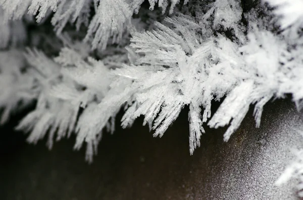 氷の結晶 — ストック写真