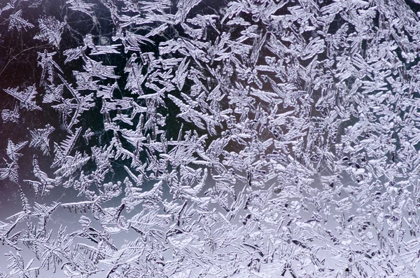 Frostiges natürliches Muster — Stockfoto
