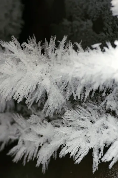 Cristalli di ghiaccio — Foto Stock