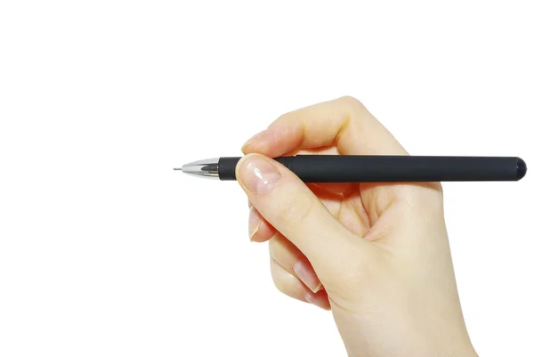 Penna på vit Stockbild