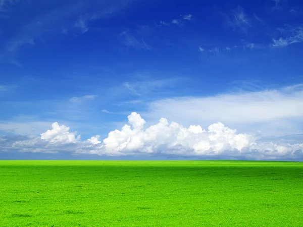 Yeşil alan — Stok fotoğraf