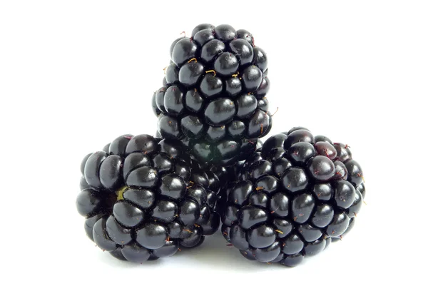 Blackberry — Stok fotoğraf