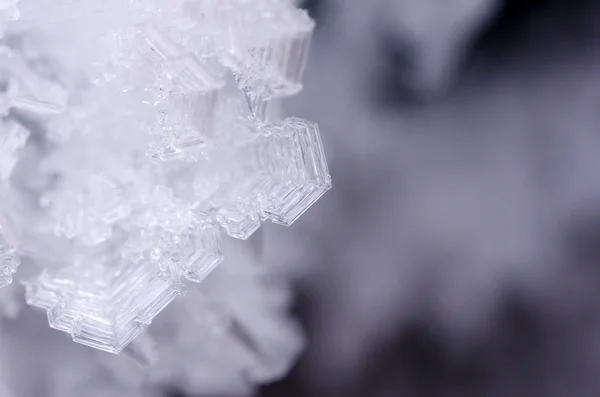 Cristales de hielo — Foto de Stock