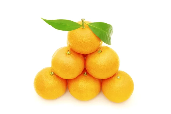 Tangerine op wit — Stockfoto