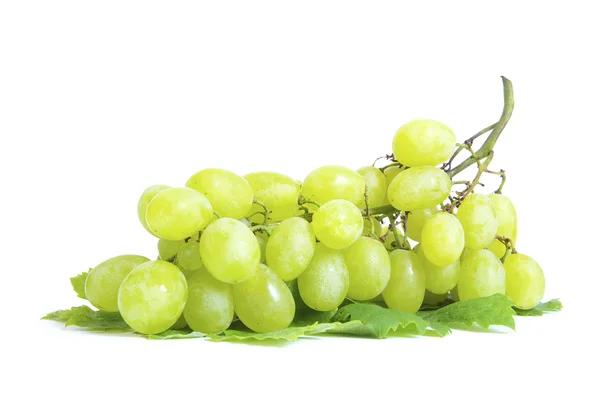 Виноград на білому — стокове фото