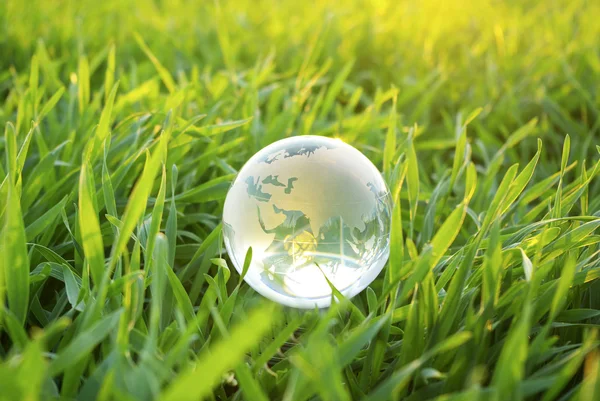 Glob w trawie — Zdjęcie stockowe