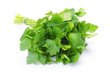 Parsley clipart