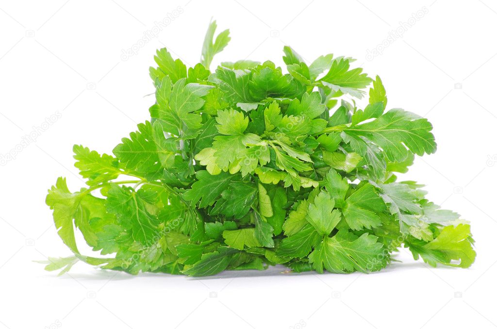Green parsley
