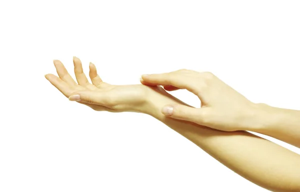 Hands on a white — Stock Photo, Image