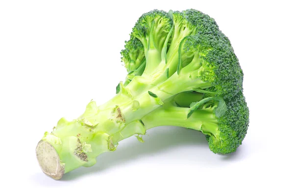 Broccoli in white — Stock Photo, Image