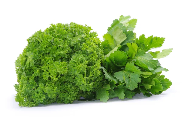 Parsley on a white — Stock Photo, Image