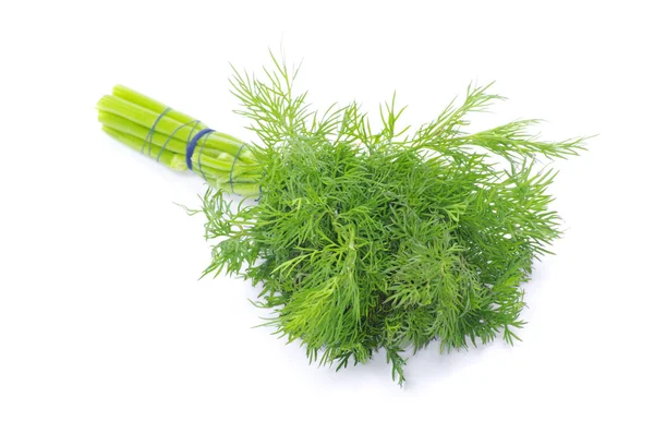 Dill on a white — Stock Photo, Image