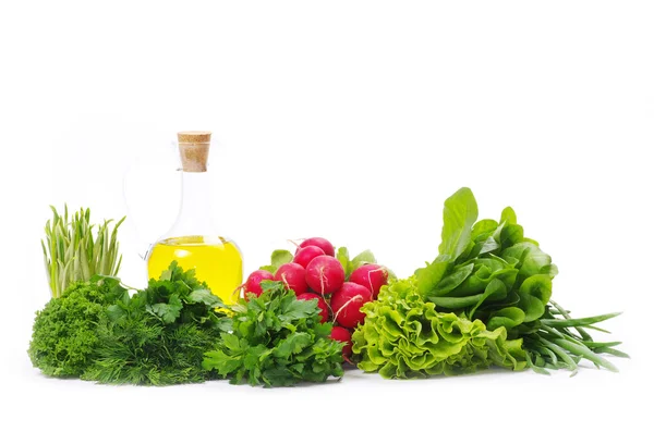 Herbs and oil — Stock Photo, Image